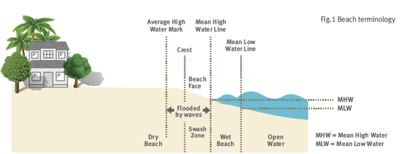 mean high water line florida